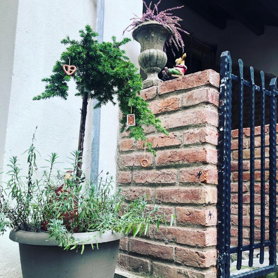Apartmany Kovacska Caşonia Exterior foto